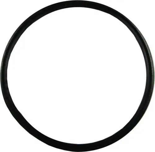 Schwarze Dichtung in Ringform, geeignet für verschiedene Anwendungen. Produkt von Bosch, geeignet für den Einsatz in Dichtungen und Abdichtungen.